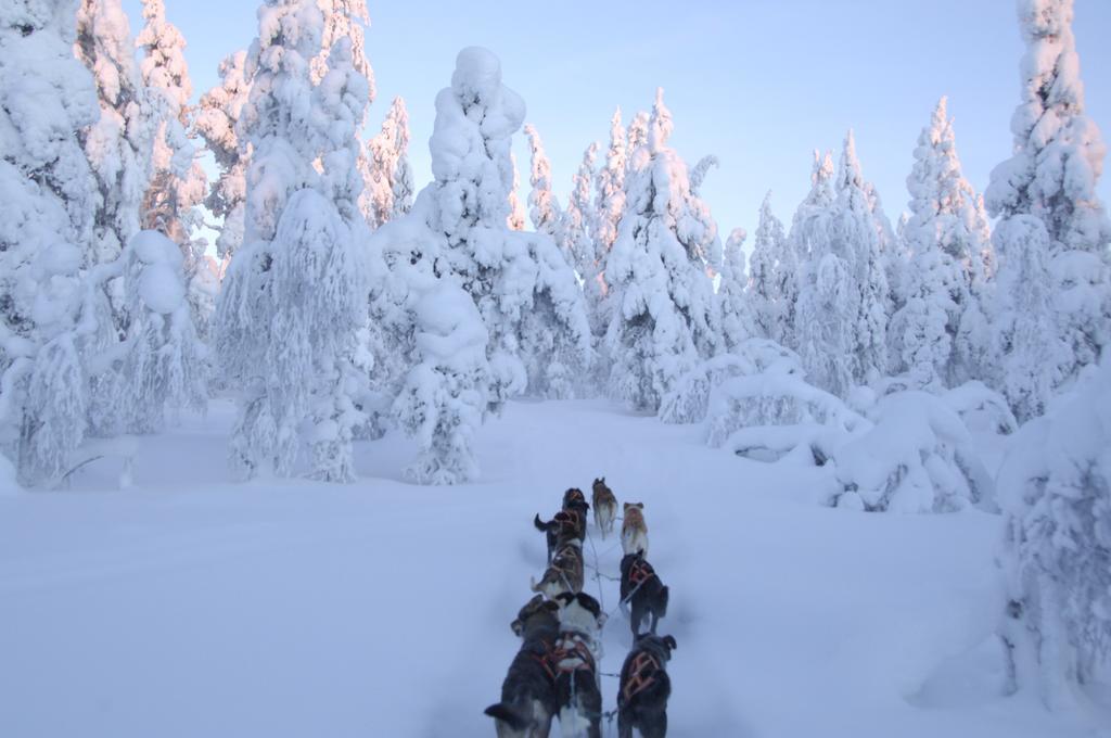 Guesthouse Husky อีวาโล ภายนอก รูปภาพ